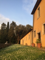 image00002